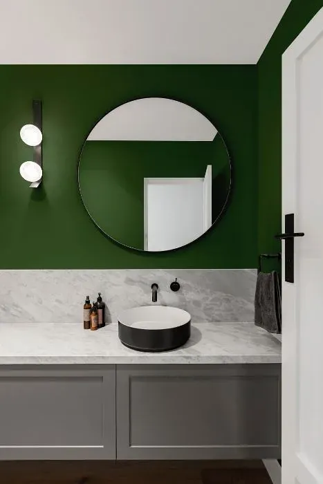 Behr Deep Viridian minimalist bathroom