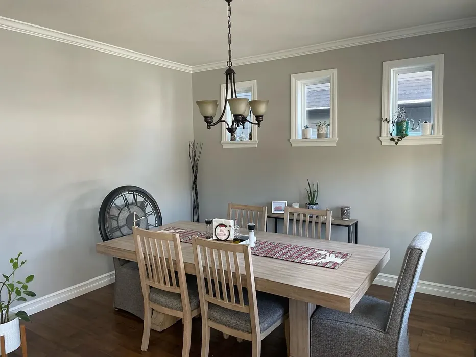 Behr Dolphin Fin dining room color