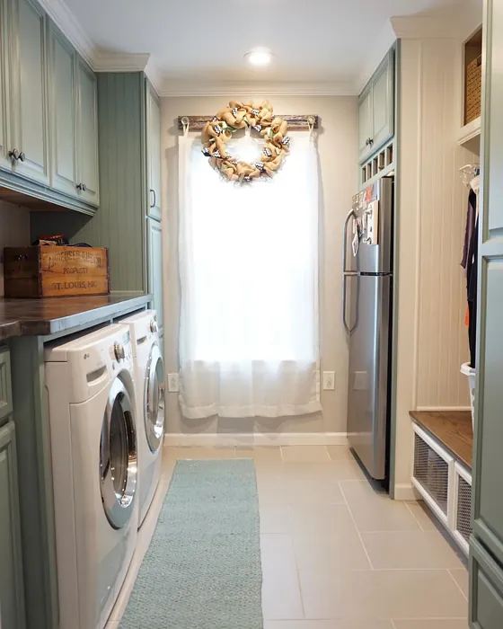 Behr 790C-3 laundry room color