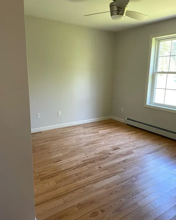 Behr HDC-MD-21 wall paint review