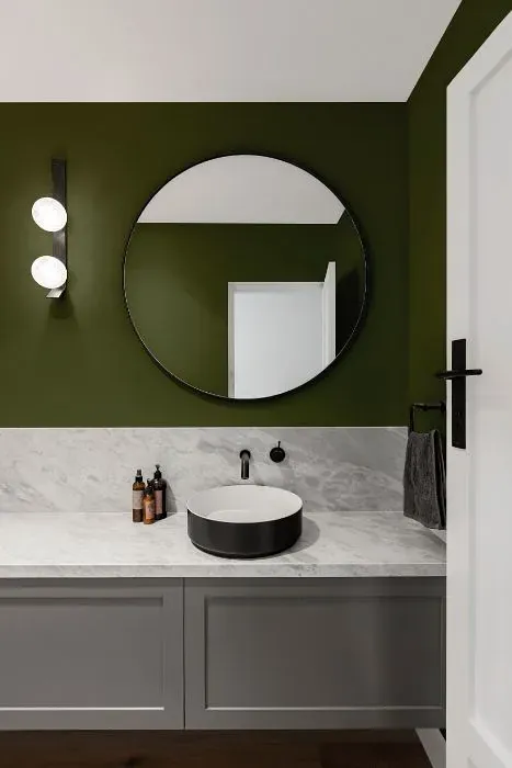 Behr Down-To-Earth minimalist bathroom