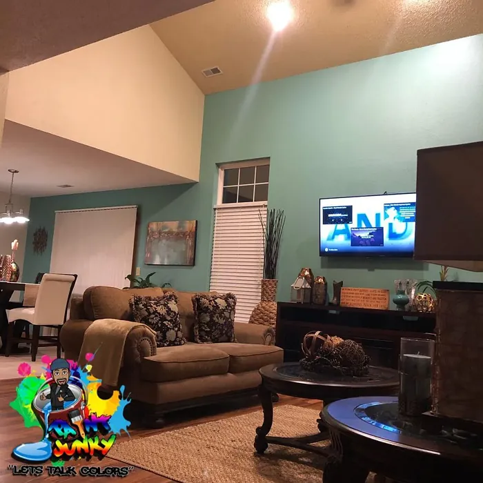 Behr Dragonfly living room accent wall