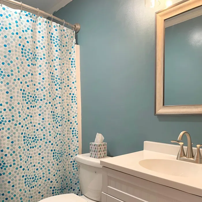 Behr Dragonfly bathroom color