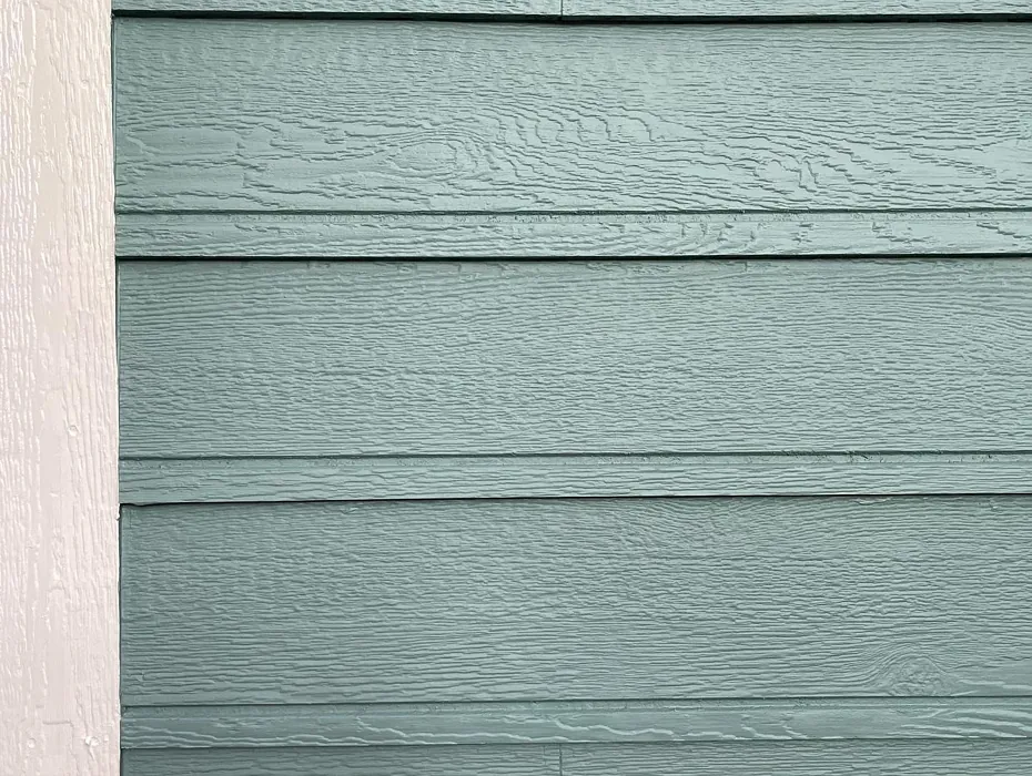 Behr Dragonfly exterior paint