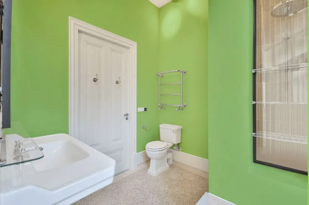 Behr Early Spring bathroom