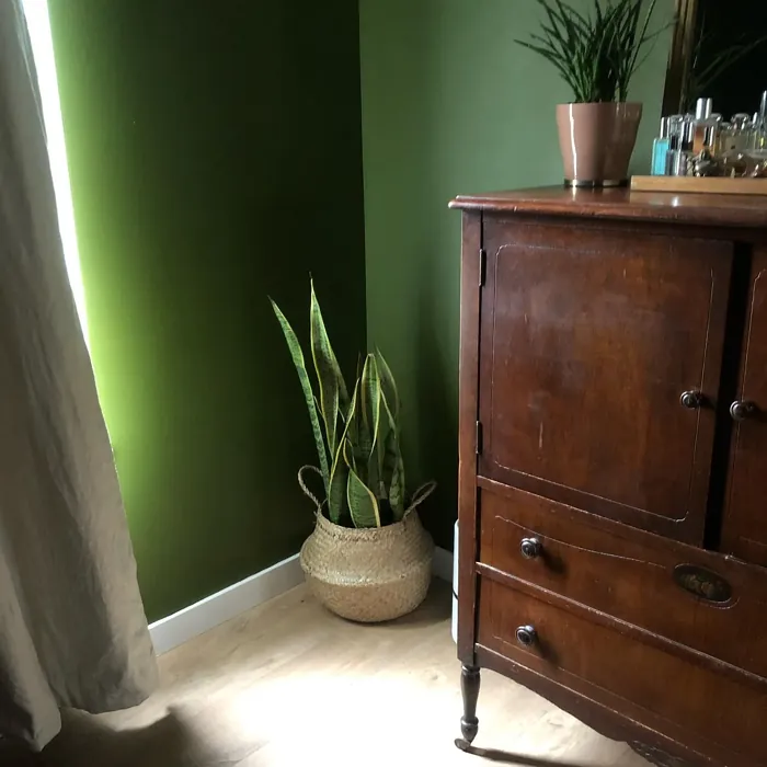 Behr Eastern Bamboo wall paint review