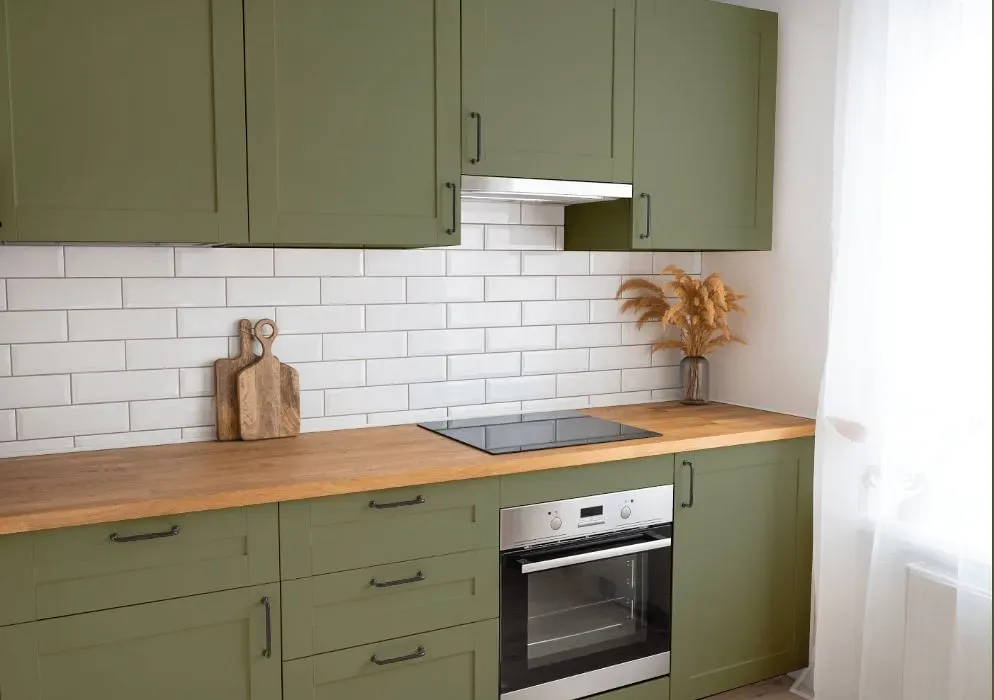 Behr Ecological kitchen cabinets
