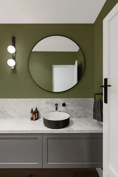 Behr Ecological minimalist bathroom