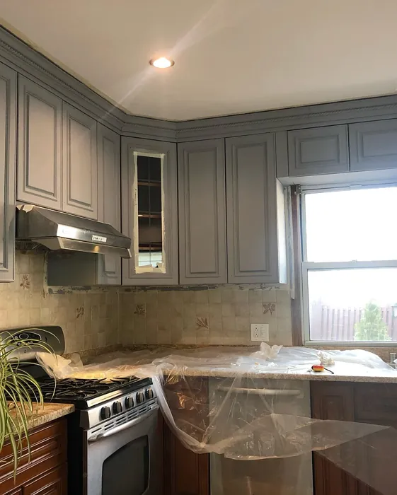 Behr Elemental Gray kitchen cabinets paint