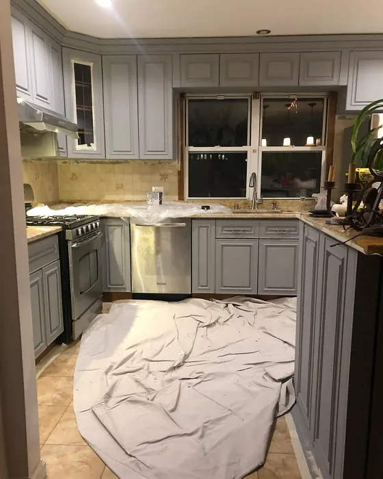 Behr Elemental Gray kitchen cabinets color