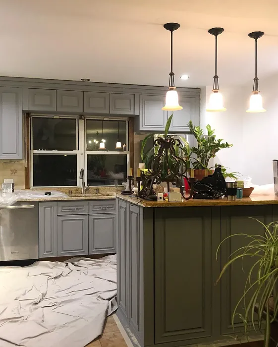 Behr Elemental Gray kitchen cabinets color review