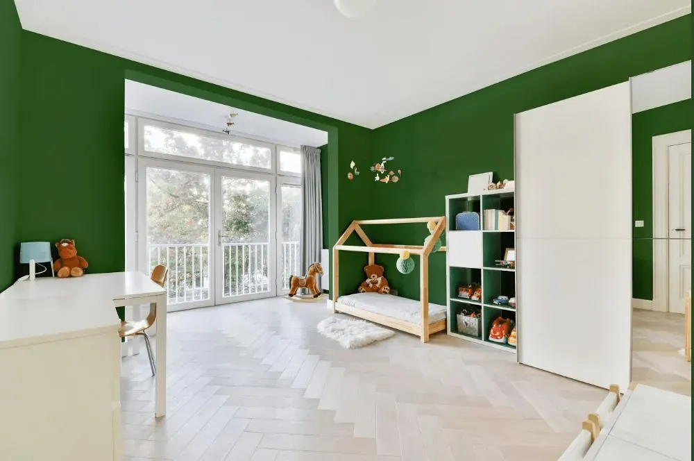 Behr Emerald Forest kidsroom interior, children's room