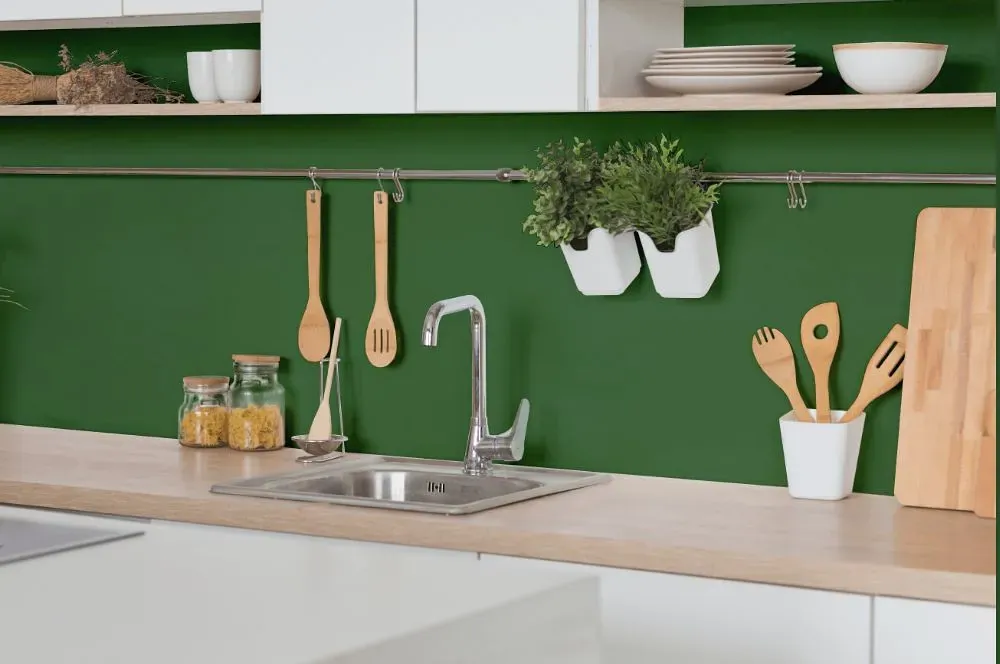 Behr Emerald Forest kitchen backsplash