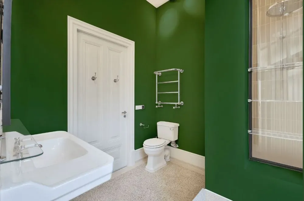 Behr Emerald Forest bathroom