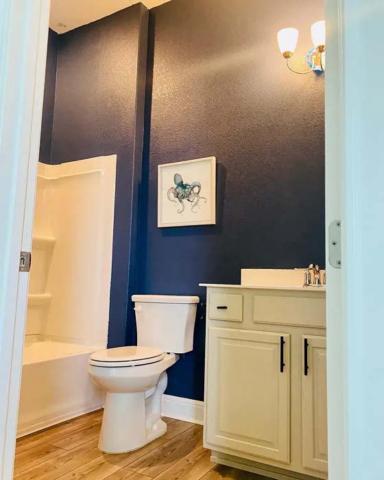 Behr English Channel bathroom color