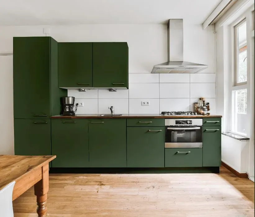 Behr Equestrian Green kitchen cabinets