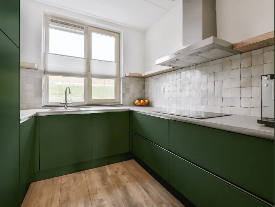 Behr Equestrian Green small kitchen cabinets
