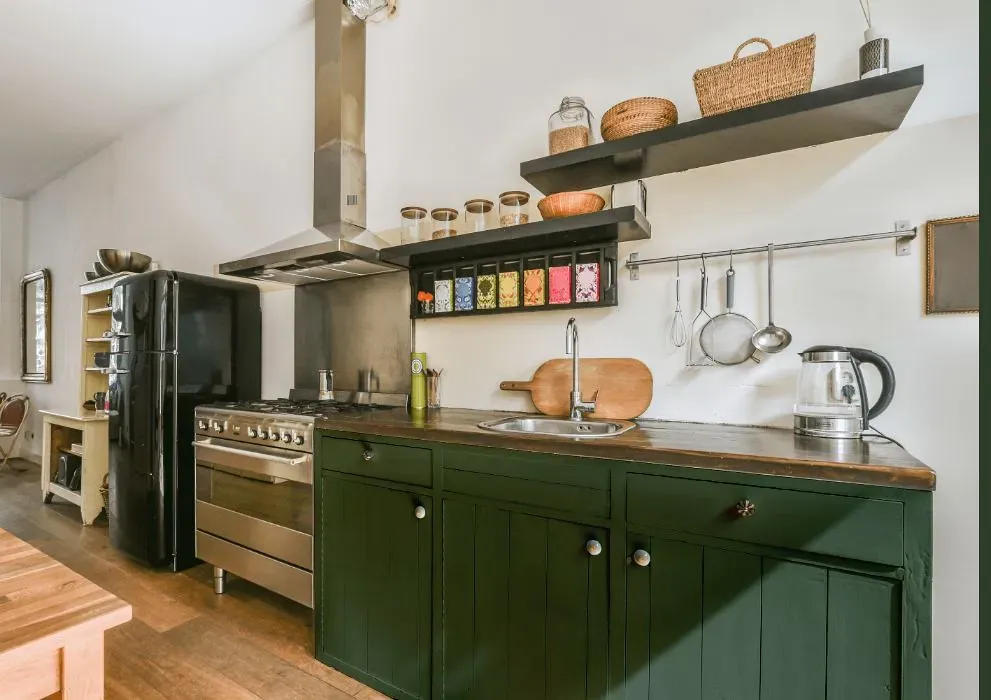 Behr Equestrian Green kitchen cabinets