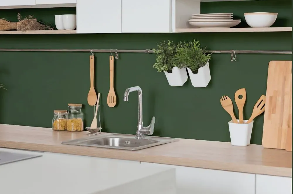 Behr Equestrian Green kitchen backsplash