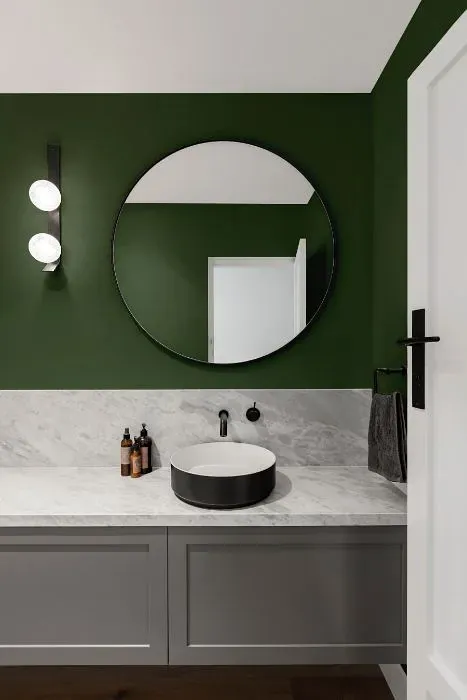Behr Equestrian Green minimalist bathroom