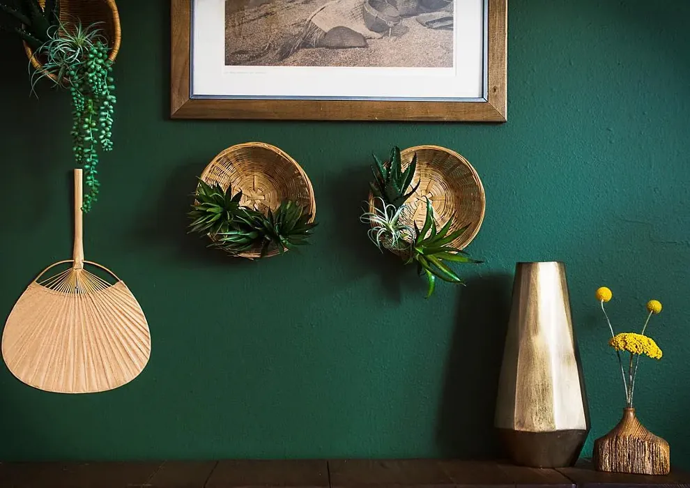 Behr Equestrian Green wall paint 