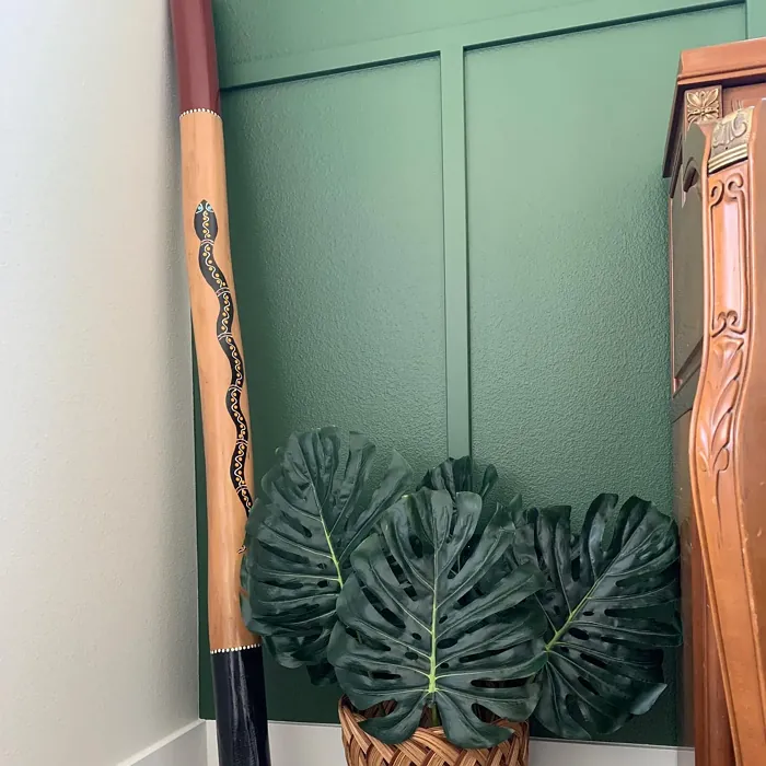 Behr Equestrian Green accent wall color