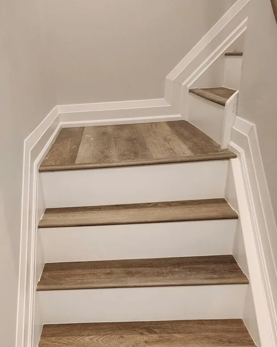 Behr Etched Glass stairs paint