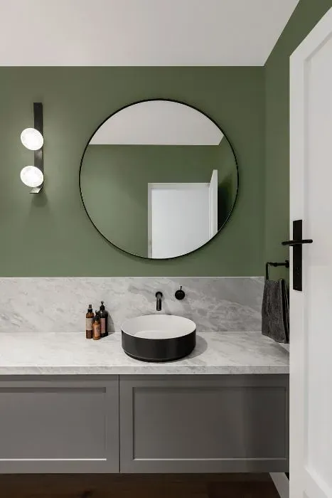 Behr Eucalyptus Wreath minimalist bathroom