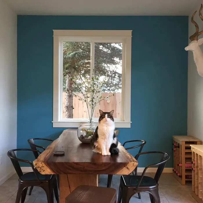 Behr Explorer Blue dining room color