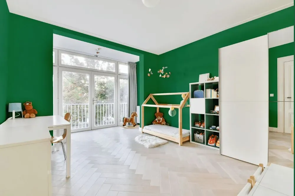Behr Exquisite Emerald kidsroom interior, children's room