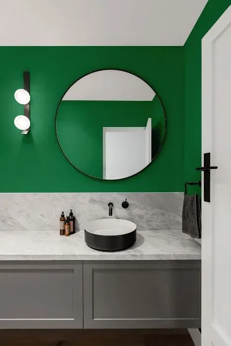 Behr Exquisite Emerald minimalist bathroom
