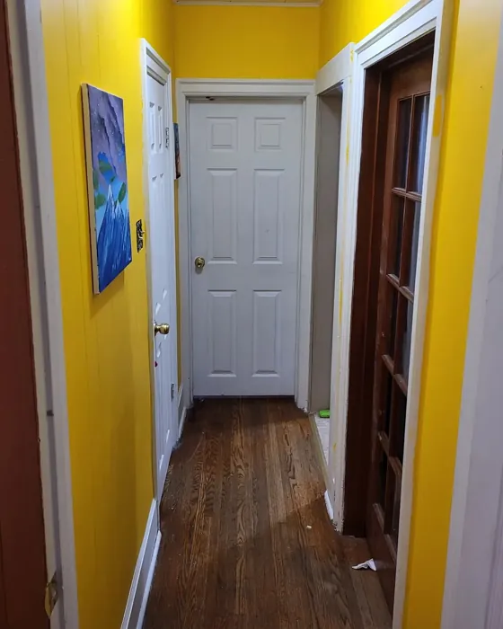 Behr Extreme Yellow hallway paint