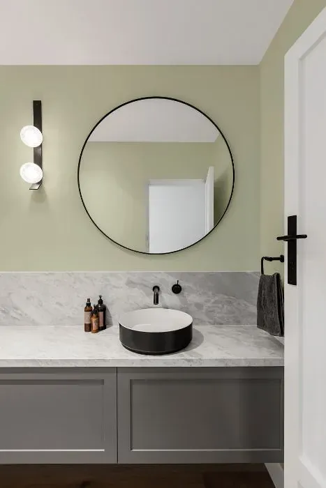 Behr Feng Shui minimalist bathroom