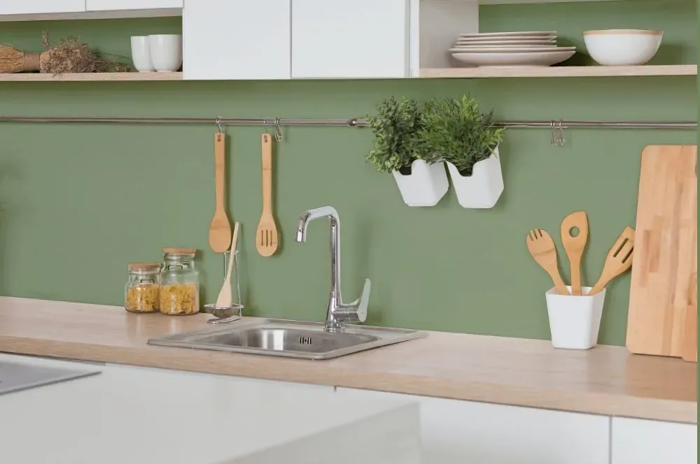 Behr Fern Leaf kitchen backsplash