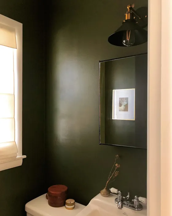 Behr Fig Tree bathroom color review