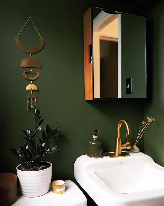 Behr Fig Tree cozy bathroom color review