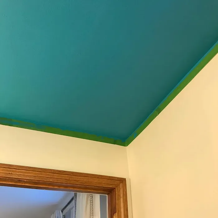 Behr Fiji ceiling paint