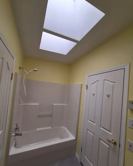 Behr Firefly bathroom 