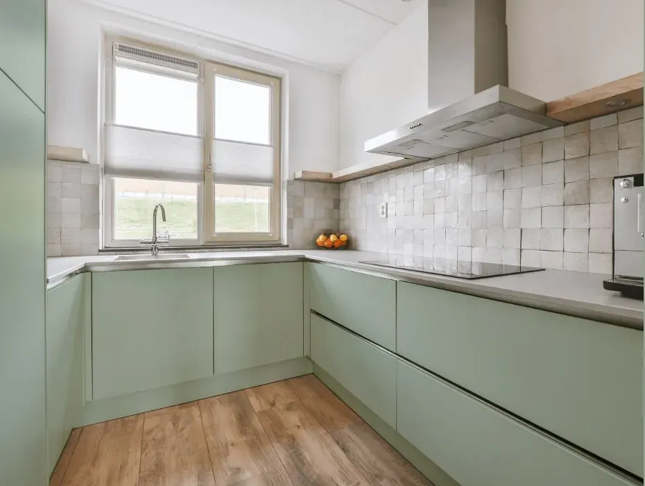 Behr Flagstaff Green small kitchen cabinets