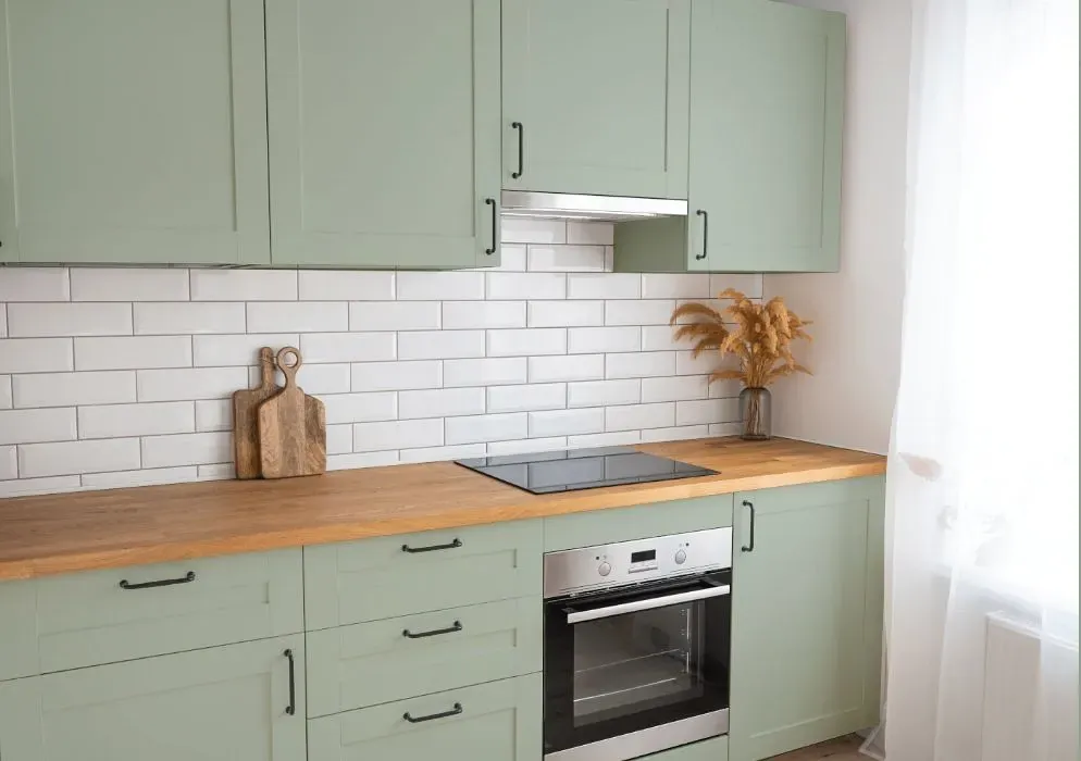 Behr Flagstaff Green kitchen cabinets