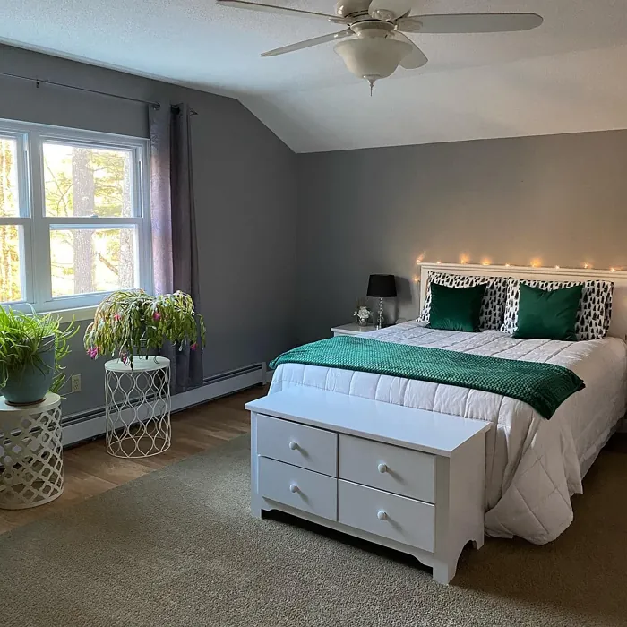 Behr Flannel Gray bedroom interior