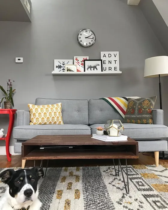 Behr Flannel Gray living room paint review