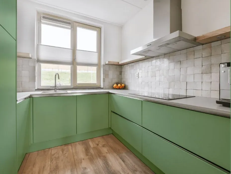 Behr Flora Green small kitchen cabinets