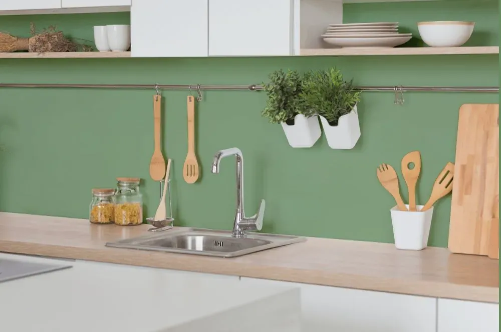 Behr Flora Green kitchen backsplash