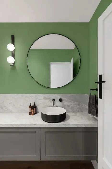 Behr Flora Green minimalist bathroom