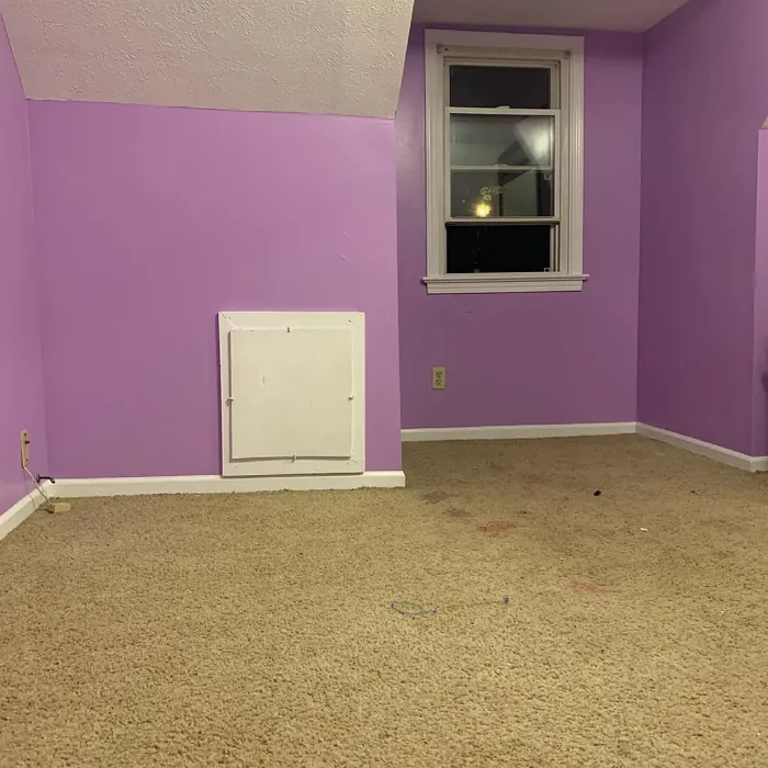 Behr Flower Girl wall paint 