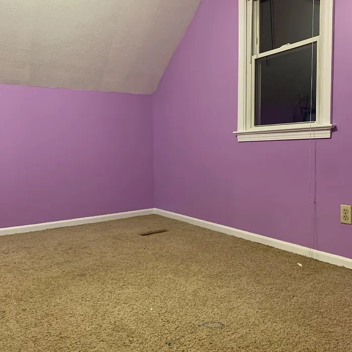 Behr Flower Girl wall paint review