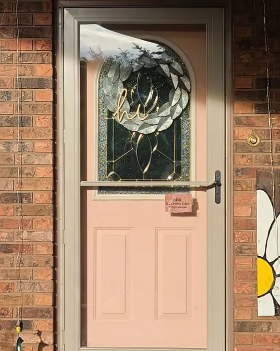 Behr Flowerpot front door color