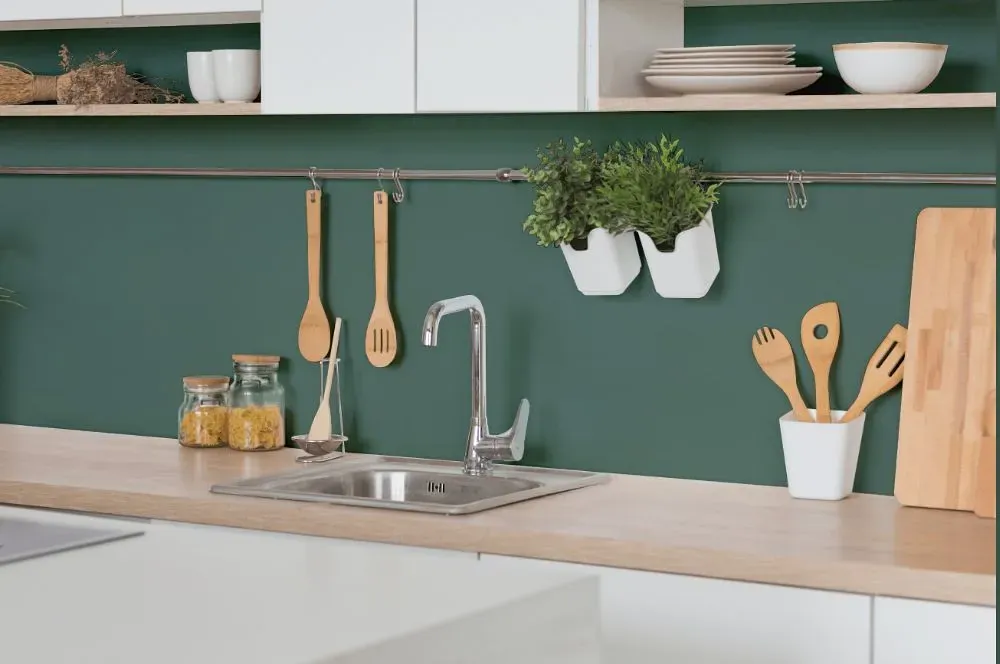 Behr Forest Edge kitchen backsplash