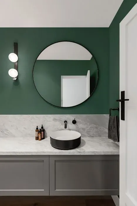 Behr Forest Edge minimalist bathroom